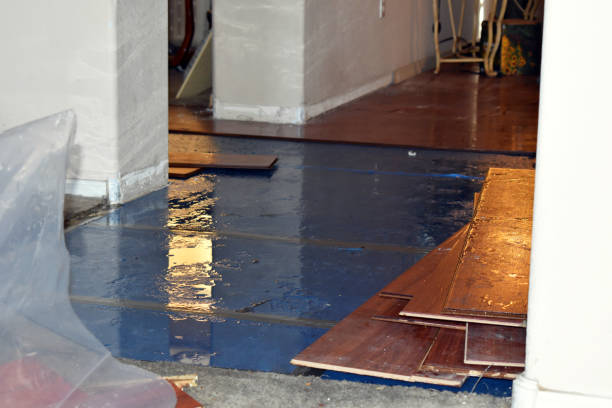 Professional Water Damage Repair technician working in Blum, TX